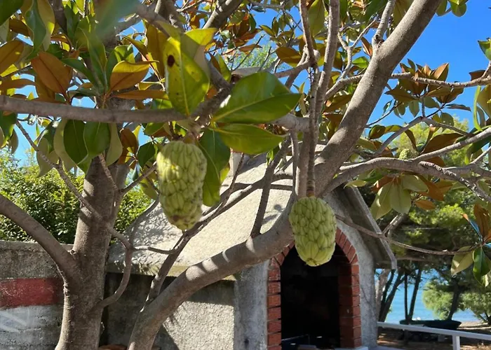 Apartamento Augustin. Welcome *